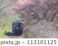わたらせ渓谷鉄道 113101125