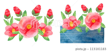 Composition of Japanese camellia with red flowers with leaves and in a vase. Botanical watercolor illustration. Simple stylized style. Hand drawing. Set of elements for cards, invitations. Vector 113101183