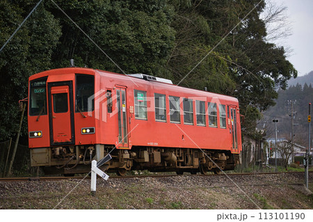 一乗谷朝倉氏遺跡ー晩秋 一乗谷朝倉氏遺跡ー晩秋 113101190