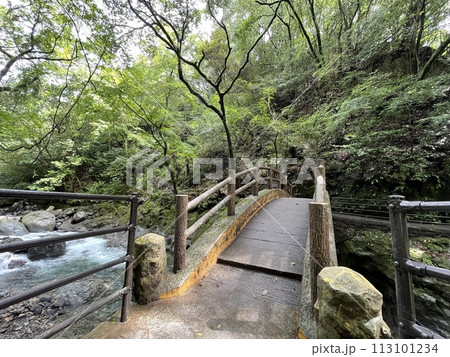 天岩戸神社 天安河原へ向かう途中の太鼓橋 天岩戸神社 天安河原へ向かう途中の太鼓橋 113101234