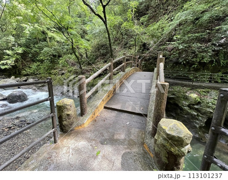 天岩戸神社 天安河原へ向かう途中の太鼓橋 天岩戸神社 天安河原へ向かう途中の太鼓橋 113101237