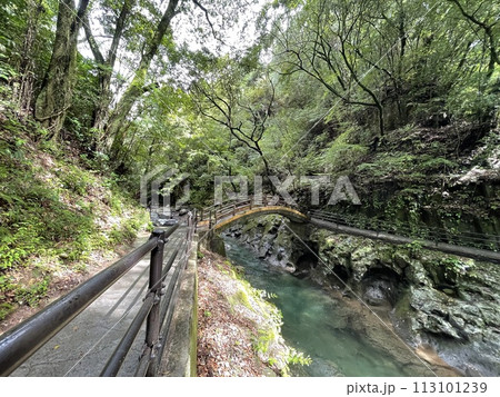 天岩戸神社　天安河原へ向かう途中の太鼓橋 113101239