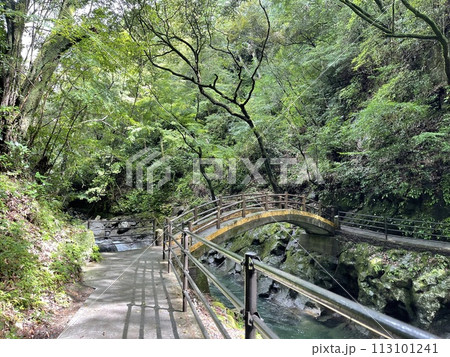 天岩戸神社　天安河原へ向かう途中の太鼓橋 113101241
