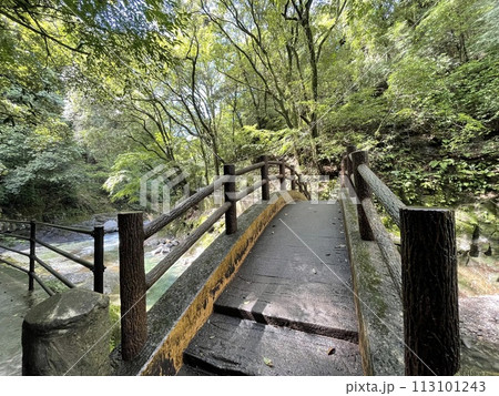 天岩戸神社　天安河原へ向かう途中の太鼓橋 113101243