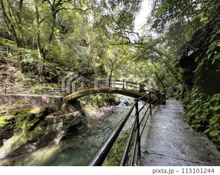 天岩戸神社 天安河原へ向かう途中の太鼓橋 天岩戸神社 天安河原へ向かう途中の太鼓橋 113101244