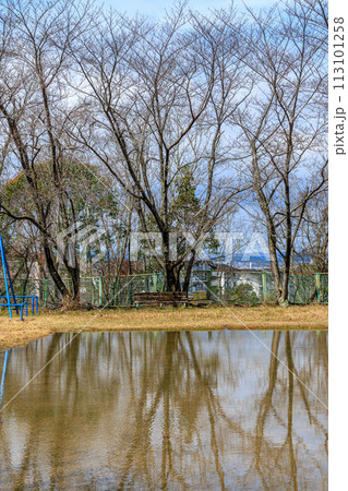 奈良市街地公園のリフレクション 雨上がり公園のゲートボール場にたまった水面に映る街路樹と空① 奈良市街地公園のリフレクション 雨上がり公園のゲートボール場にたまった水面に映る街路樹と空① 113101258