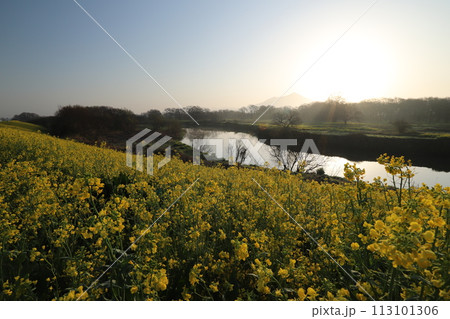 筑波山 筑波山 113101306