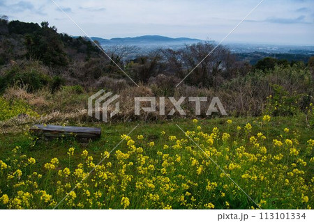 神奈川県山北町の河村城の風景 113101334