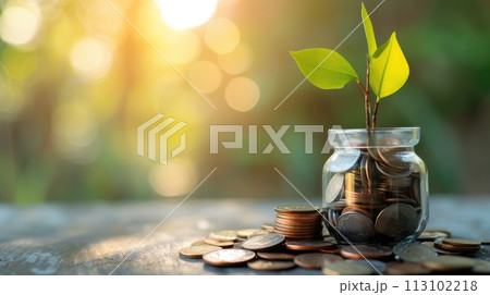 Small plant in a vase on a stack of coins, symbolizing growth, Ai Generated 113102218