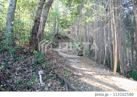 山へ行こう 岩湧山 山へ行こう 岩湧山 113102580