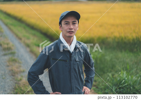 rice farming rice farming 113102770