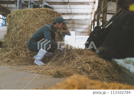 ranch ranch 113102784