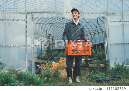 vegetable field 113102789