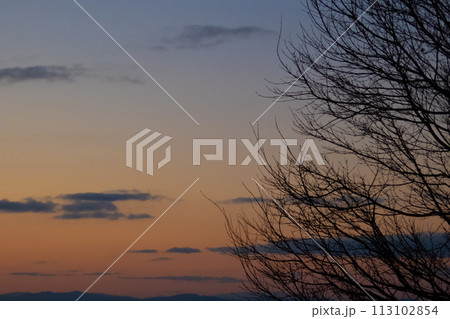 見た夕日 113102854