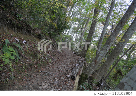 山へ行こう 岩湧山 山へ行こう 岩湧山 113102904