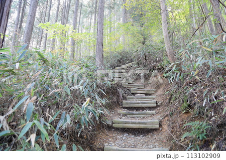 山へ行こう　岩湧山 113102909