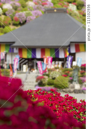 山寺を彩る 山寺を彩る 113102936