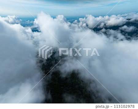 Amazing fog mist over mountains,Aerial view landscape drone shot beautiful nature background 113102978