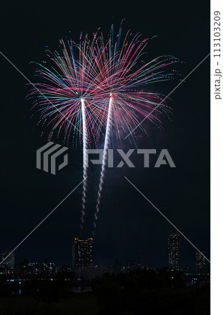 秋の打ち上げ花火（川口花火大会） 113103209