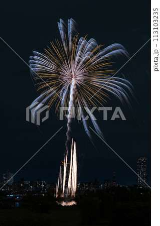 秋の打ち上げ花火（川口花火大会） 113103235