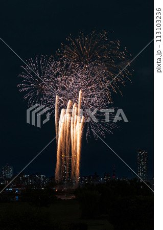 秋の打ち上げ花火（川口花火大会） 113103236