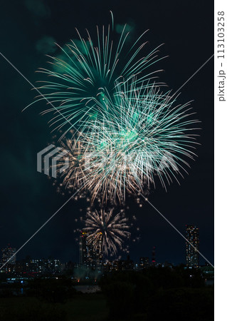 秋の打ち上げ花火（川口花火大会） 113103258