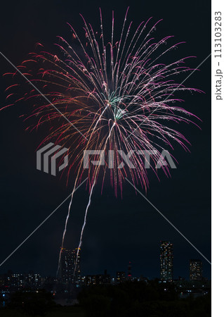秋の打ち上げ花火(川口花火大会) 秋の打ち上げ花火(川口花火大会) 113103283