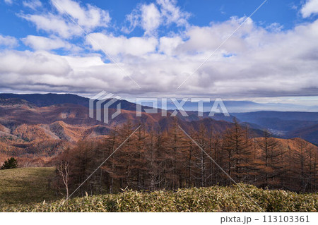 長野県 ビーナスライン 三峰大展望台からの景色 長野県 ビーナスライン 三峰大展望台からの景色 113103361