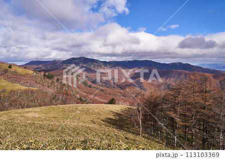 長野県　ビーナスライン　霧ヶ峰からの景色 113103369