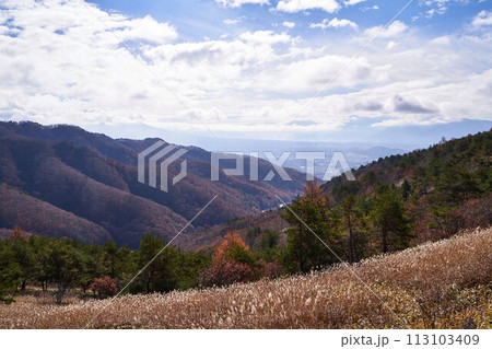 長野県 ビーナスライン 白樺湖展望台からの景色 長野県 ビーナスライン 白樺湖展望台からの景色 113103409