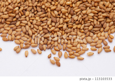 金ゴマ（炒り金ごま） 113103533