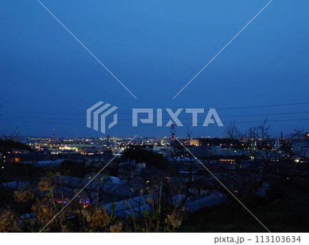 公園から見える夜景 113103634