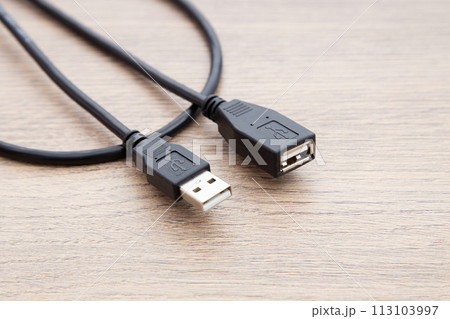 USB延長ケーブル（タイプA） 113103997