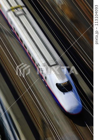都内を駆け抜ける新幹線 都内を駆け抜ける新幹線 113104093