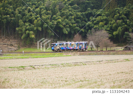 一乗谷朝倉氏遺跡 一乗谷朝倉氏遺跡 113104243