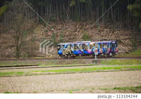 一乗谷朝倉氏遺跡 一乗谷朝倉氏遺跡 113104244