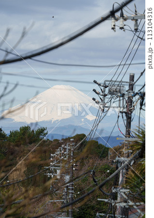 高台から望む富士山 高台から望む富士山 113104316