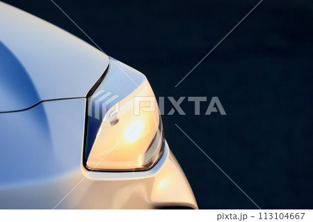 自動車のヘッドライト 113104667