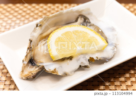 おいしい北海道厚岸産の生牡蠣 おいしい北海道厚岸産の生牡蠣 113104994