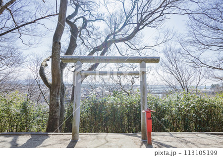 新潟　石船神社（村上市） 113105199