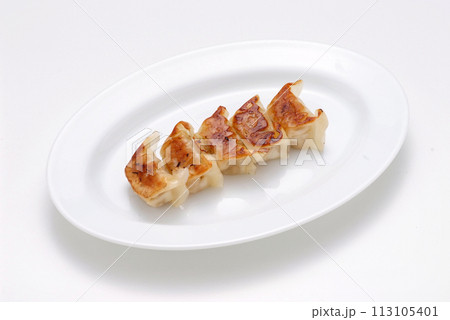 おいしそうな焼き餃子・皿に盛った餃子 113105401