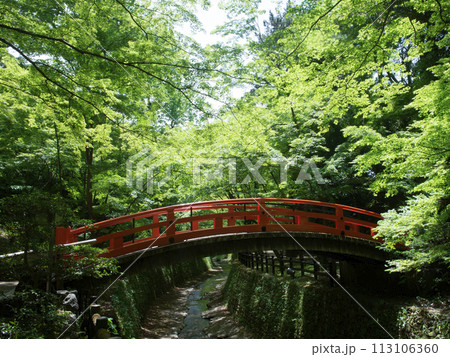 新緑の北野天満宮　鶯橋 113106360