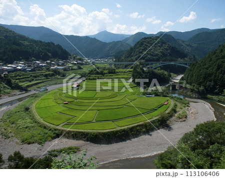 あらぎ島 あらぎ島 113106406