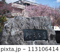梱岡公園　桜 113106414