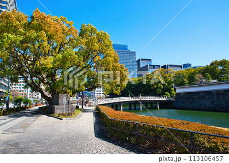 東京 冬の平川橋と大手濠の風景 東京 冬の平川橋と大手濠の風景 113106457
