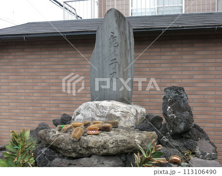 横浜市中区の三溪園近くにある亀の子石（亀の子様） 113106490