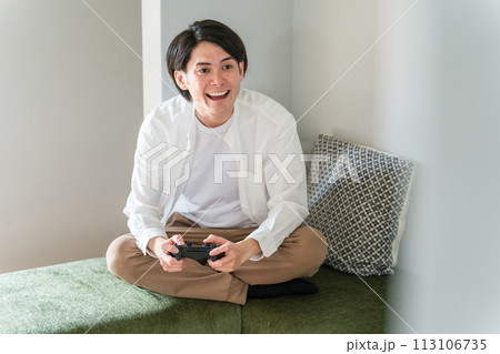 休日に家でゲームする男性（オンラインゲーム・プレイヤー・テレビゲーム） 113106735