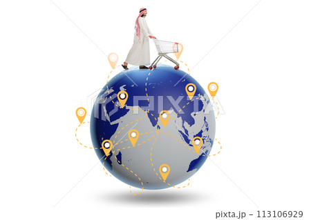 Concept of global shopping with globe and shopper 113106929