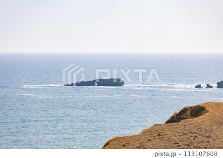 春の北海道浜中町の琵琶瀬展望台から見た太平洋 113107608