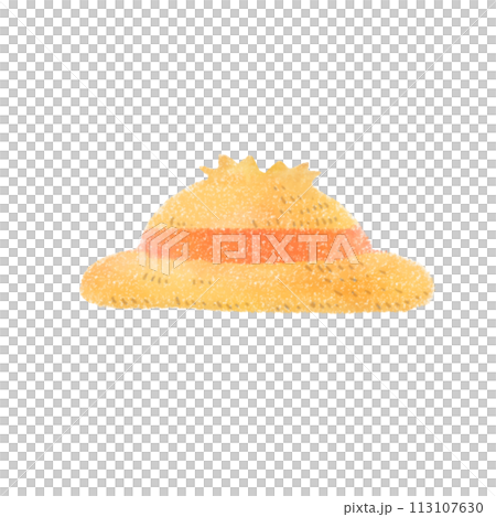 Cute straw hat illustration 113107630